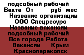 подсобный рабочий . Вахта. От 30 000 руб./мес. › Название организации ­ ООО Спецресурс › Название вакансии ­ подсобный рабочий - Все города Работа » Вакансии   . Крым,Красноперекопск